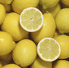 Lemon Tree, 1M Tall in 5-6L Pot, Citrus Fruit Tree, House Plant, Conservatory or Garden Plant, Low Maintenance