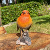 Robin on a Tree Stump Garden Ornament Resin Bird Sculpture Figurine