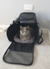 Pet Carrier Bag, Portable Cat Carrier Bag Top Opening, Removable Mat and Breathable Mesh, Foldable Cat Carrier Transport Bag for Dogs and Cats, with Shoulder Strap and Pet Bowl, Grey