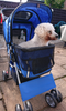 Pet Stroller for Small Dogs Cats Foldable Travel Carriage with Wheels Zipper Entry Cup Holder Storage Basket Blue