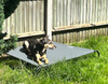 Raised Dog Bed Small - Elevated Waterproof Dog Bed With Mesh, Outdoor for Travel and Garden, Grey, 105x80x20cm