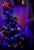 3 Feet Prelit Artificial Christmas Tree with Multi-Coloured Fiber Optic LED Light, Holiday Home Xmas Decoration, Green