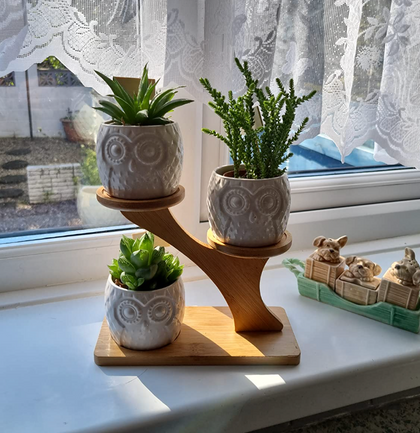 Owl Succulent Pots 3 Pcs with 3 Tier Bamboo Saucers Stand Holder, White Owl Succulent Plant Pots with Drainage and Bamboo Stand, Great for Office and Home Decor, Ideal for Gift.