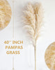 40-inch Natural Pampas Grass Decor Tall with 10 Stems. Perfect for Weddings, Parties, Farmhouse, and Boho Home Decor.