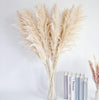 40-inch Natural Pampas Grass Decor Tall with 10 Stems. Perfect for Weddings, Parties, Farmhouse, and Boho Home Decor.