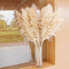 40-inch Natural Pampas Grass Decor Tall with 10 Stems. Perfect for Weddings, Parties, Farmhouse, and Boho Home Decor.