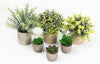 Artificial Plants Indoor (Set of 6) - Realistic Fake Plants Succulents and Eucalyptus Rosemary in Pots - Perfect for Home and Office Decoration
