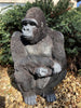 Realistic 15 Inch Gorilla Polyresin Statue - Hand Painted Figurine - Intricate Detail Suitable for Indoor or Outdoor Use - Frost and Fade Resistant Animal Lawn Ornament