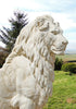 Pair Of Giant Stone Cast Sitting Lions 1.35m High, 600kg each! White Stone, Garden Ornaments, Garden Statue, Drive Way Lions 1200KGS