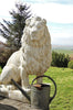 Pair Of Giant Stone Cast Sitting Lions 1.35m High, 600kg each! White Stone, Garden Ornaments, Garden Statue, Drive Way Lions 1200KGS