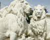 Pair Of Giant Stone Cast Sitting Lions 1.35m High, 600kg each! White Stone, Garden Ornaments, Garden Statue, Drive Way Lions 1200KGS