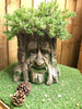 Mans Face Tree Trunk Stump Herb Flower Planter Garden Plant Box Bucket Pot Tub