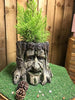 Mans Face Tree Trunk Stump Herb Flower Planter Garden Plant Box Bucket Pot Tub