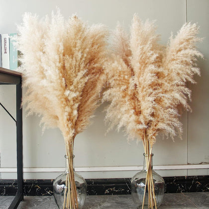 40-inch Natural Pampas Grass Decor Tall with 10 Stems. Perfect for Weddings, Parties, Farmhouse, and Boho Home Decor.