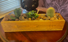 Wooden Succulent Planter Box Indoor Window container