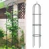 Obelisk Metal Garden Climbing Plant 1.9m Flowers Steel Frame