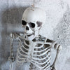 170CM Skeleton Full Size Poseable Human Halloween Party Prop Haunted House Decor