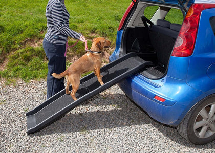 Pet Ramp for Dogs in Plastic, Folding Lightweight and Strong (Black)