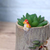 Plant Pot Cute Animal Hedgehog