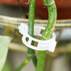 50 pcs Tomato and Veggie Garden Plant Support Clips