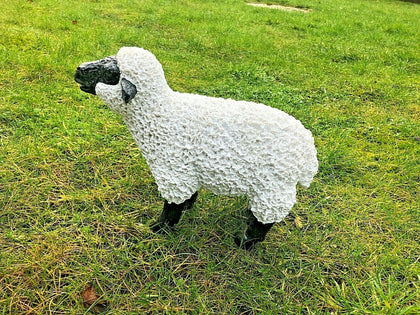 Spring Lamb Garden Ornament Resin  Sheep Statue Farmyard Gift Garden