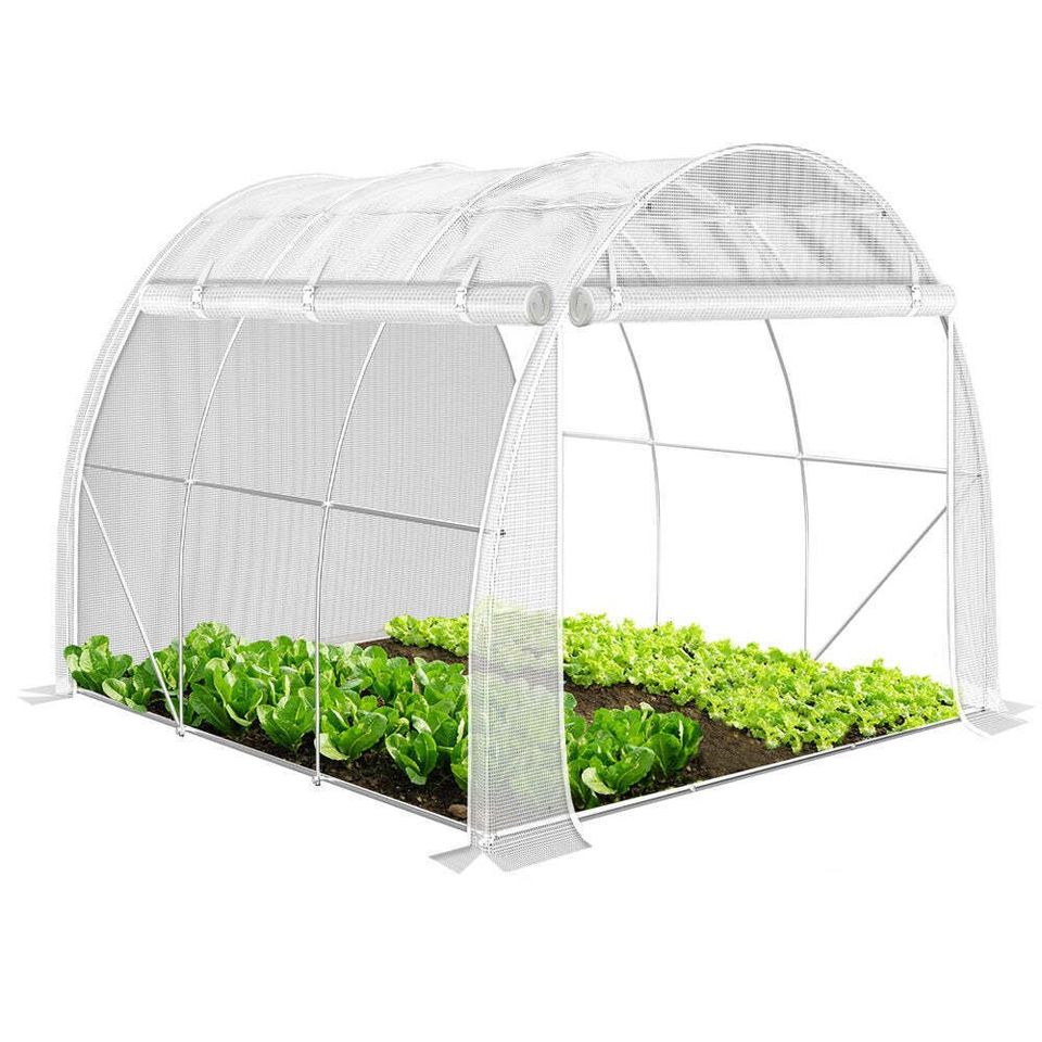 Polytunnel Greenhouse Grow House with Roll-up Side Walls, 3x2x2m 6m²