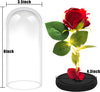 ed Rose Beauty and the Beast Silk Artificial Flower LED Light Infinity Forever Rose Glass Kit Gift for Anniversary Birthday Mothers Day Decoration