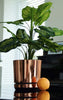 Modern Plastic Plant Pot Small Large Indoor Planter with Saucer Tray Flower Pots