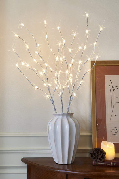 Home Decorative Twig Lights with 60 LED White Lights Waterproof Plug